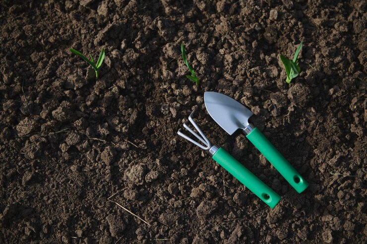 ferramentas-de-jardinagem-planas-ancinho-e-pa-em-solo-preto-cavado-e-solto-perto-de-brotos-de-verduras-em-crescimento-copiar-espaco-de-anuncio-jardinagem-de-horticultura_328764-9440